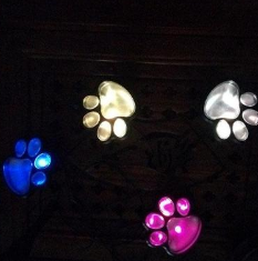 Solar Paw Garden Light